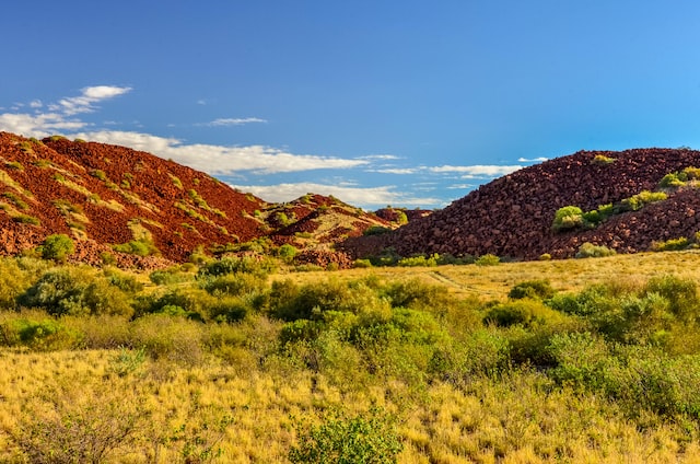 Australian landscape